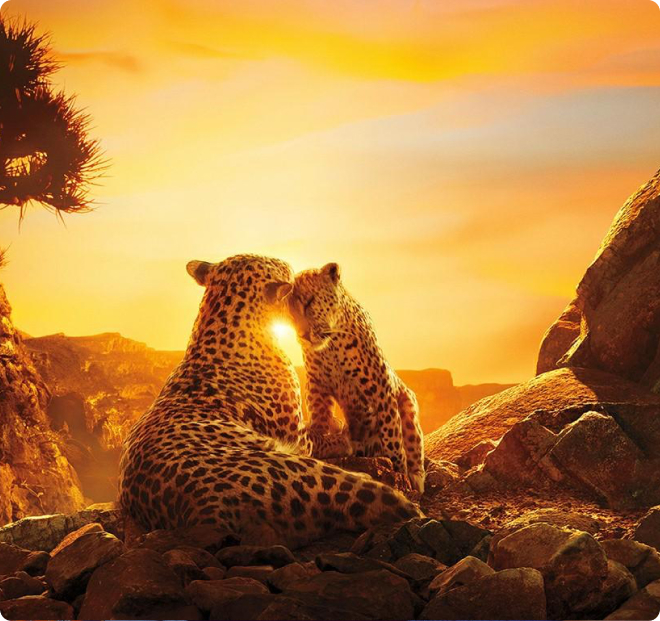 Lorem ipsum dolor sit amet consecutor